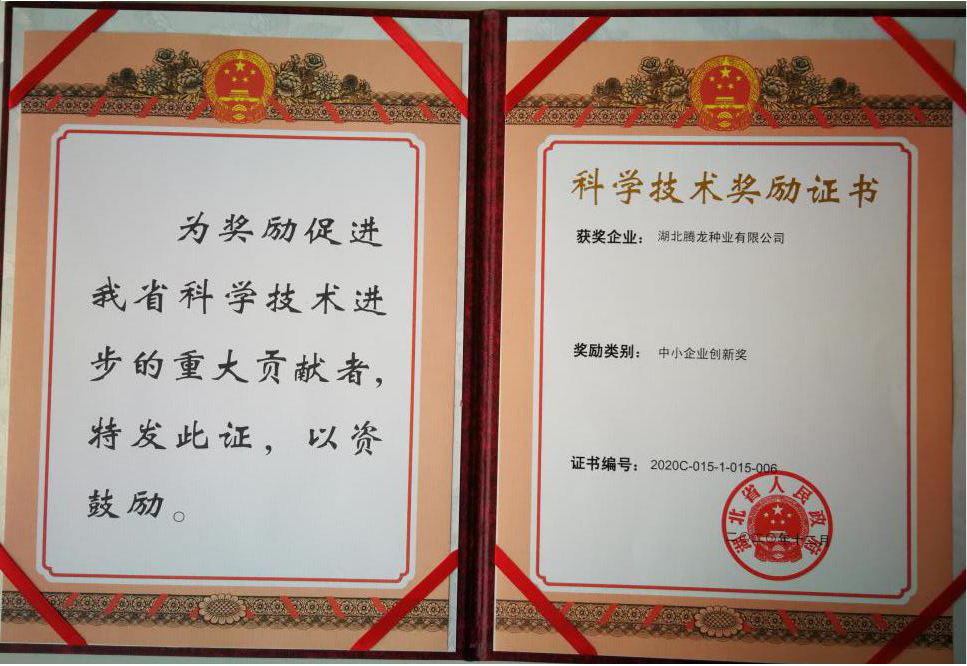 兩個(gè)獎(jiǎng)項(xiàng) 兩個(gè)獎(jiǎng)項(xiàng)