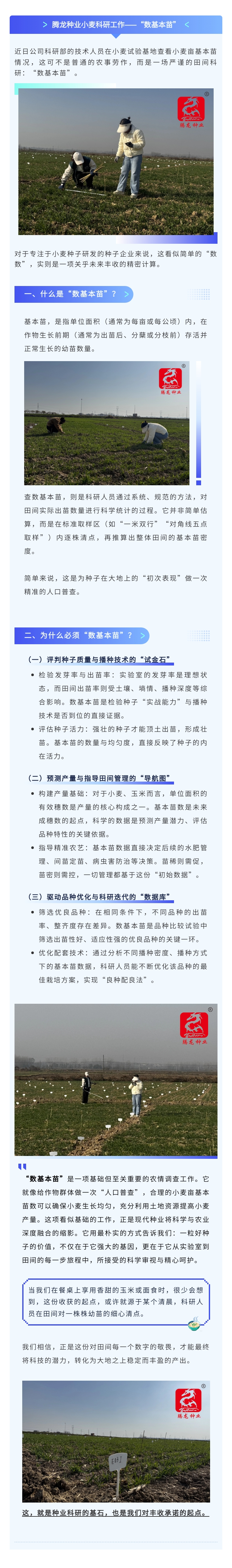 135editor_12111349_693a5b5f084b720251211134919